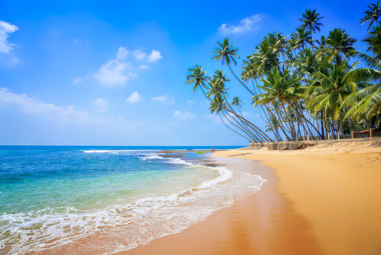 Beach Tours