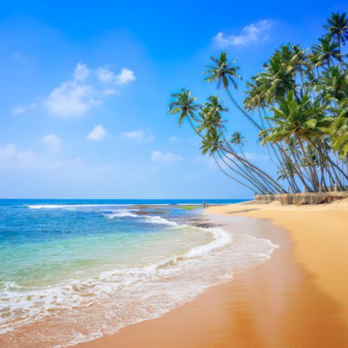 Beach Tours